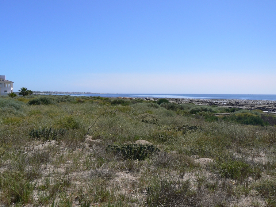 0 Bedroom Property for Sale in Sandy Point Western Cape